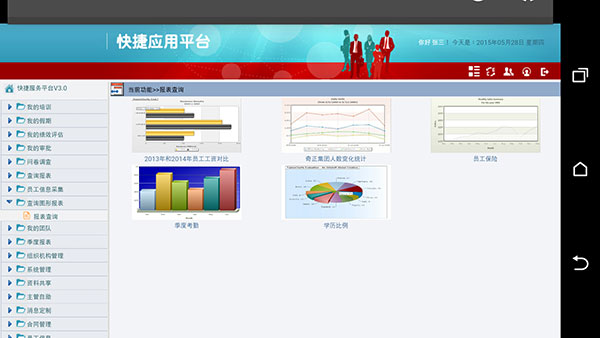 报表查询