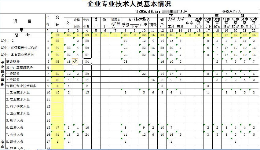 国资报表